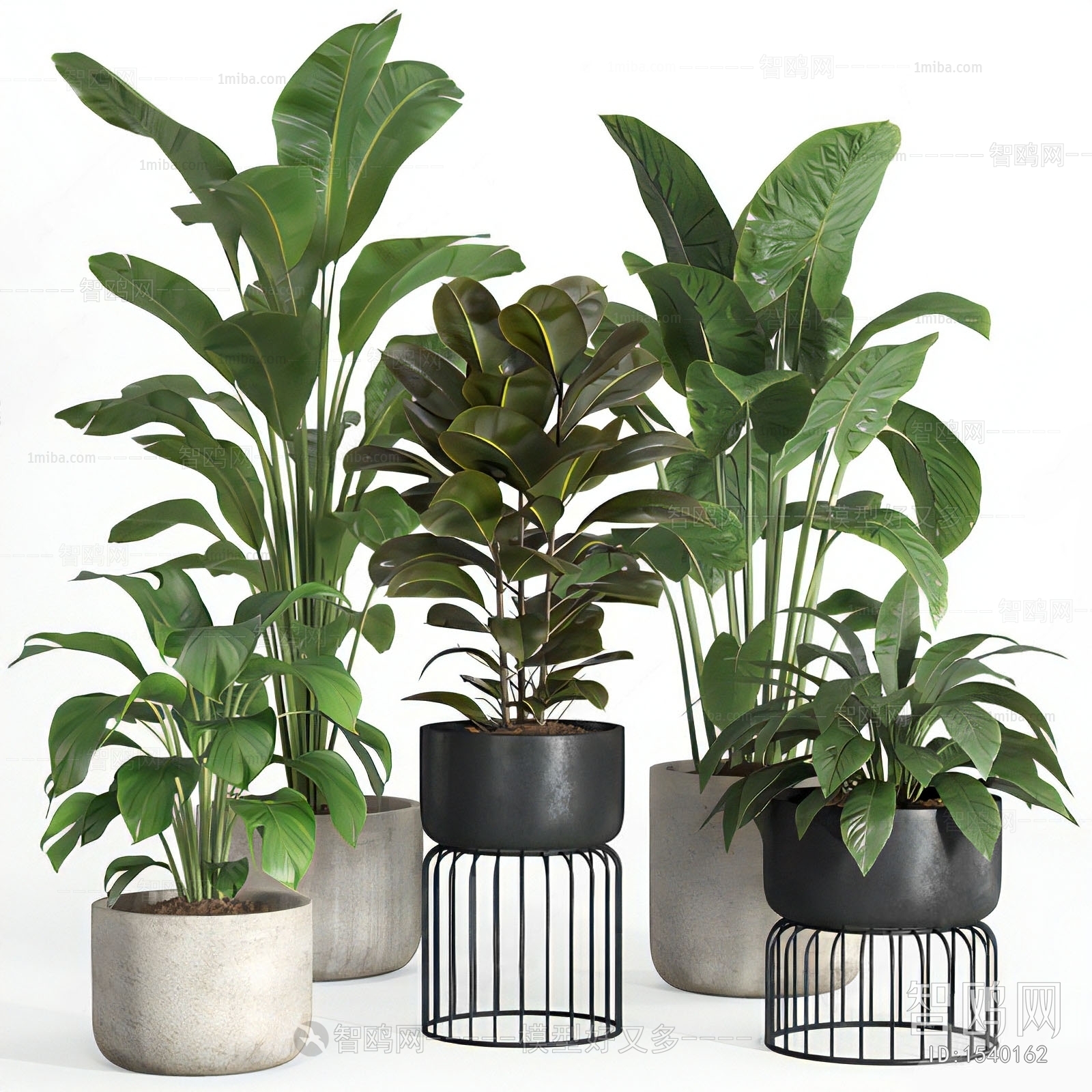 Modern Potted Green Plant