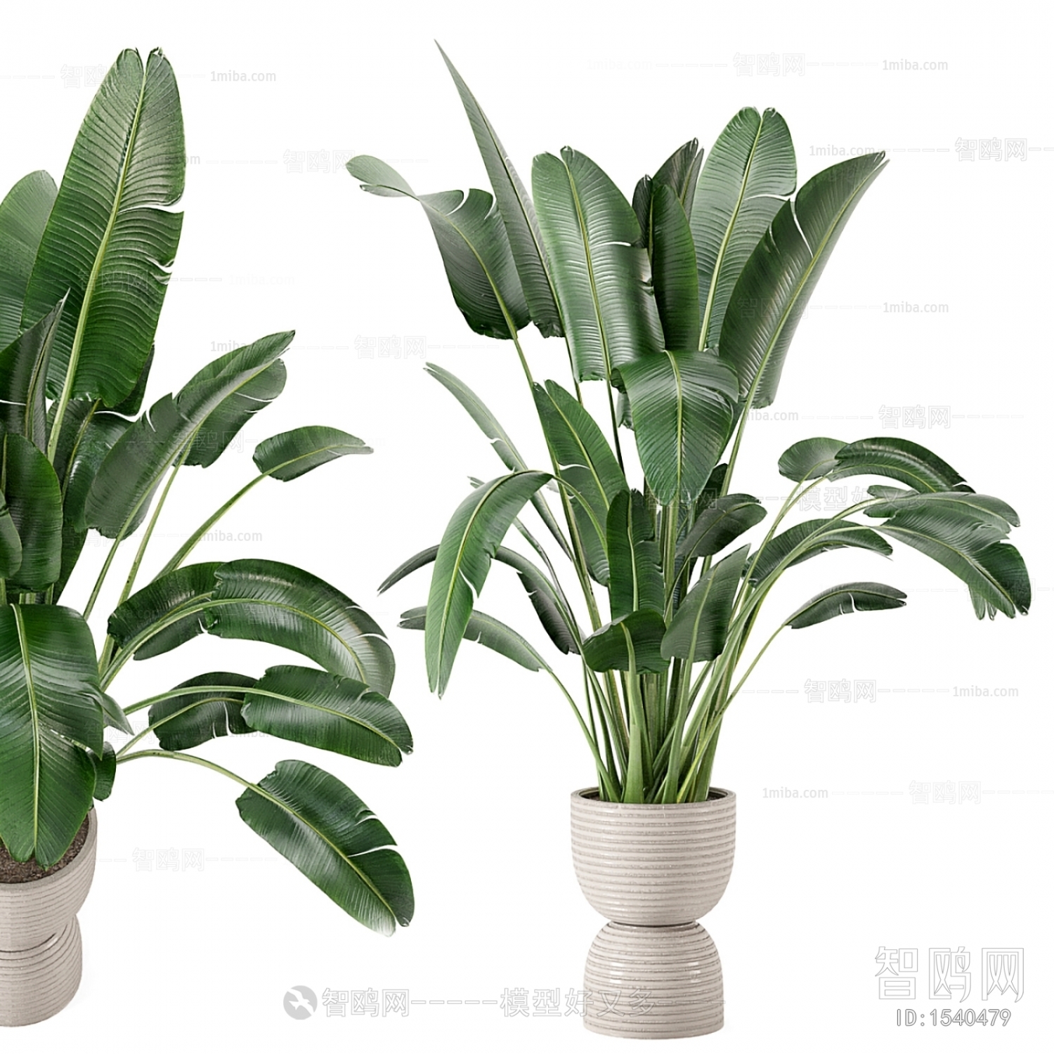 Modern Potted Green Plant