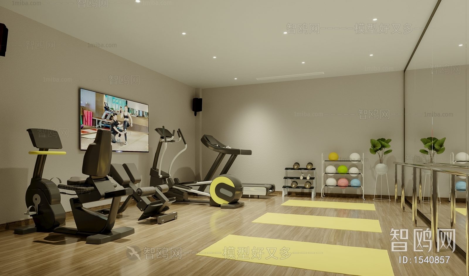 Modern Gym