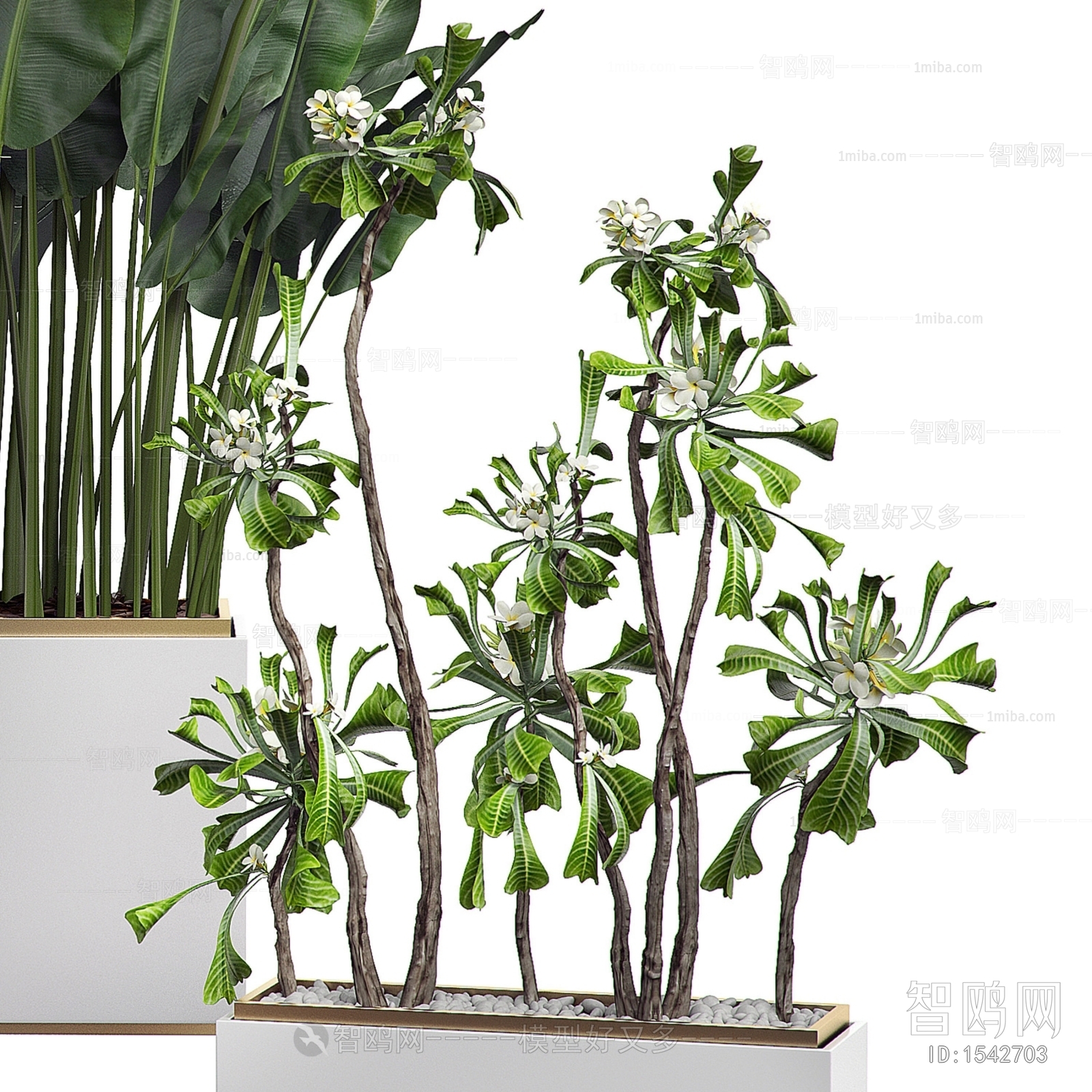 Modern Potted Green Plant