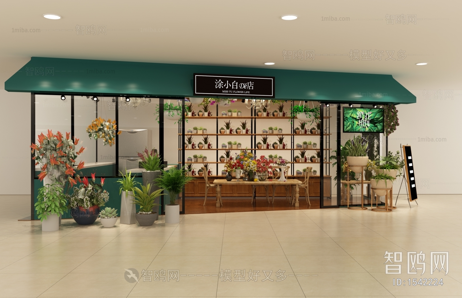 Modern Flower Shop