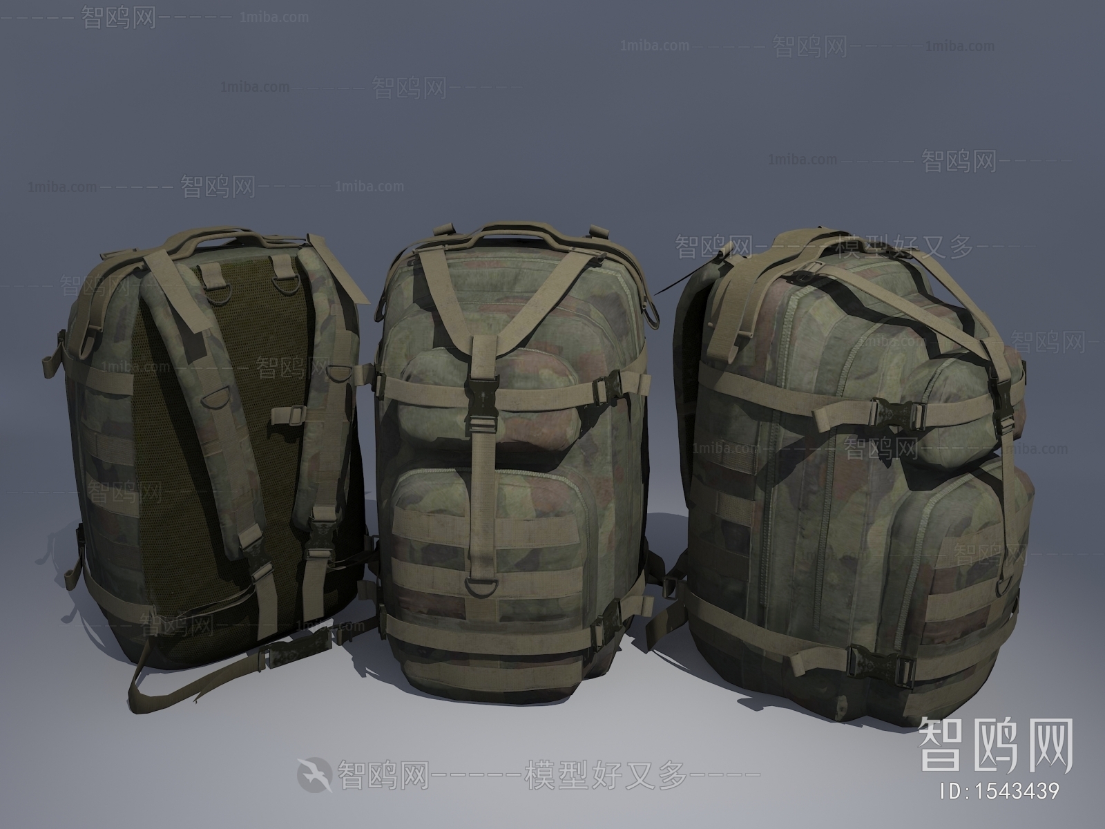 Modern Backpack And Backpack