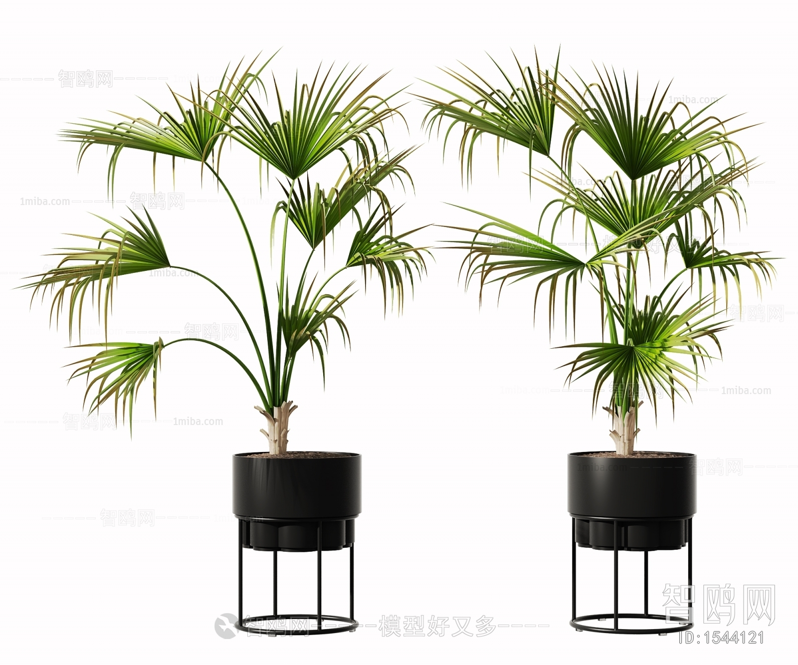 Modern Potted Green Plant