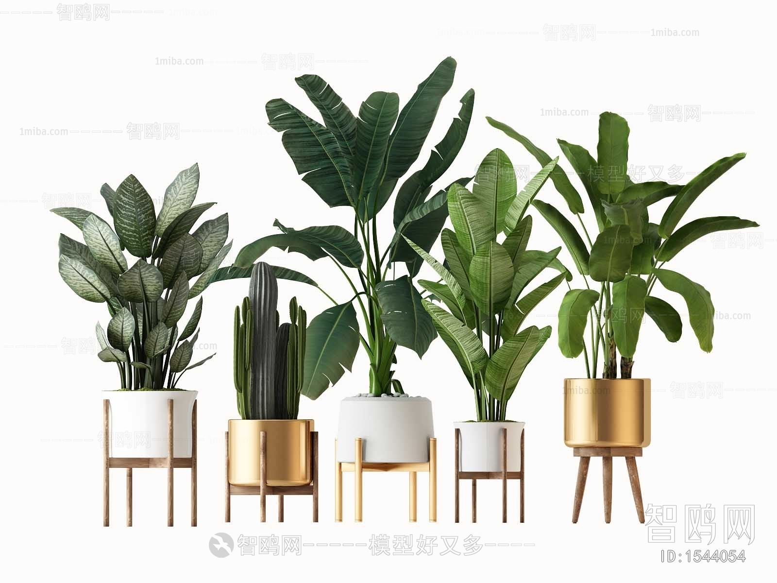 Modern Potted Green Plant