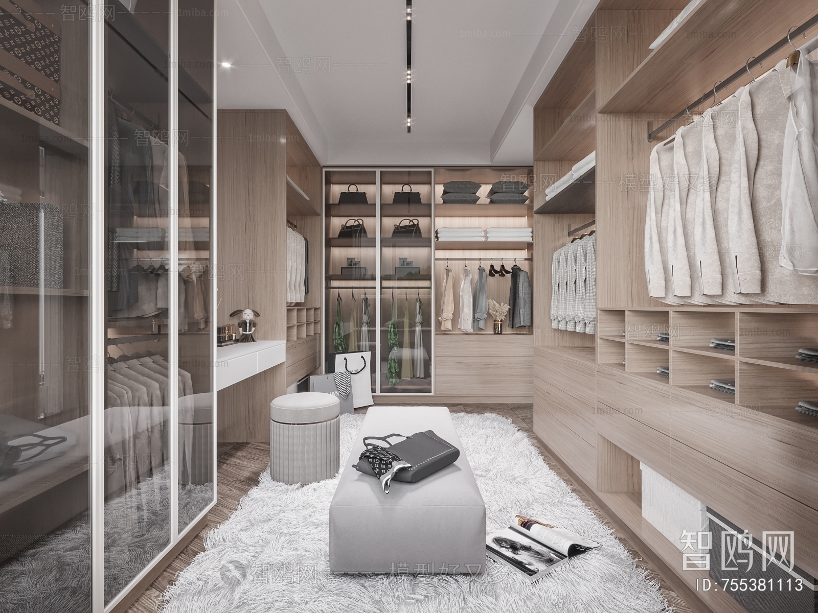 Modern Clothes Storage Area