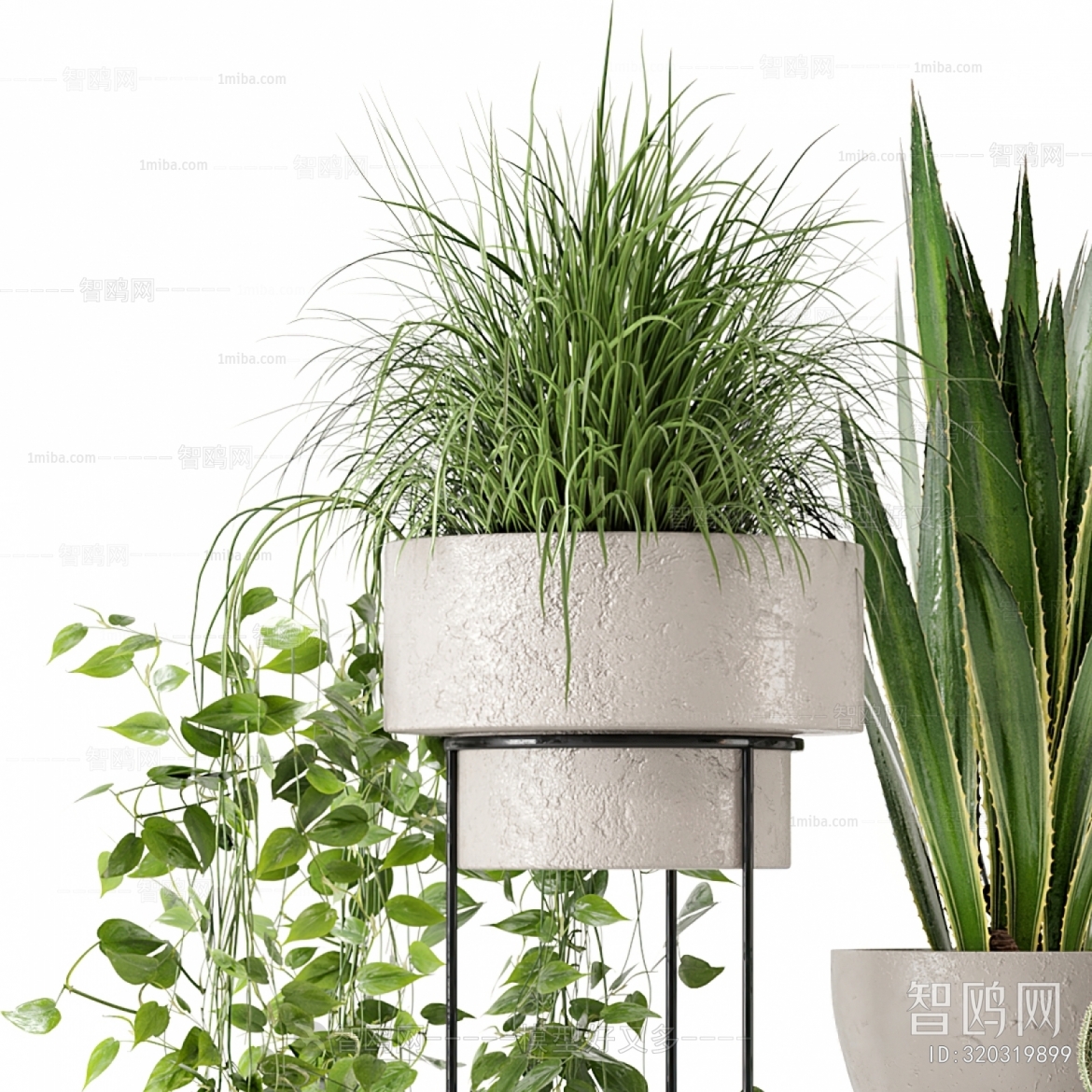 Modern Potted Green Plant