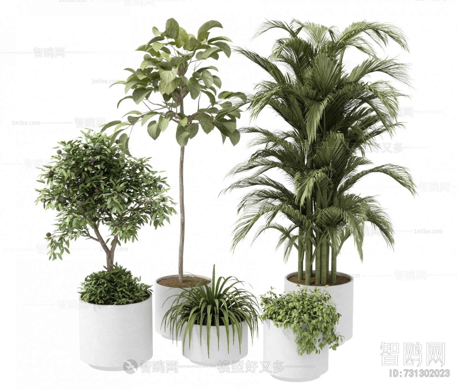 Modern Potted Green Plant