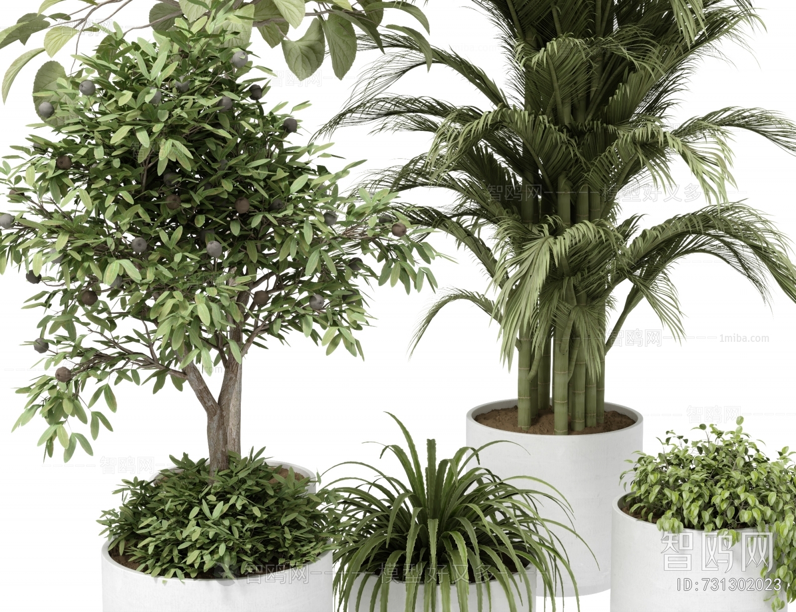 Modern Potted Green Plant