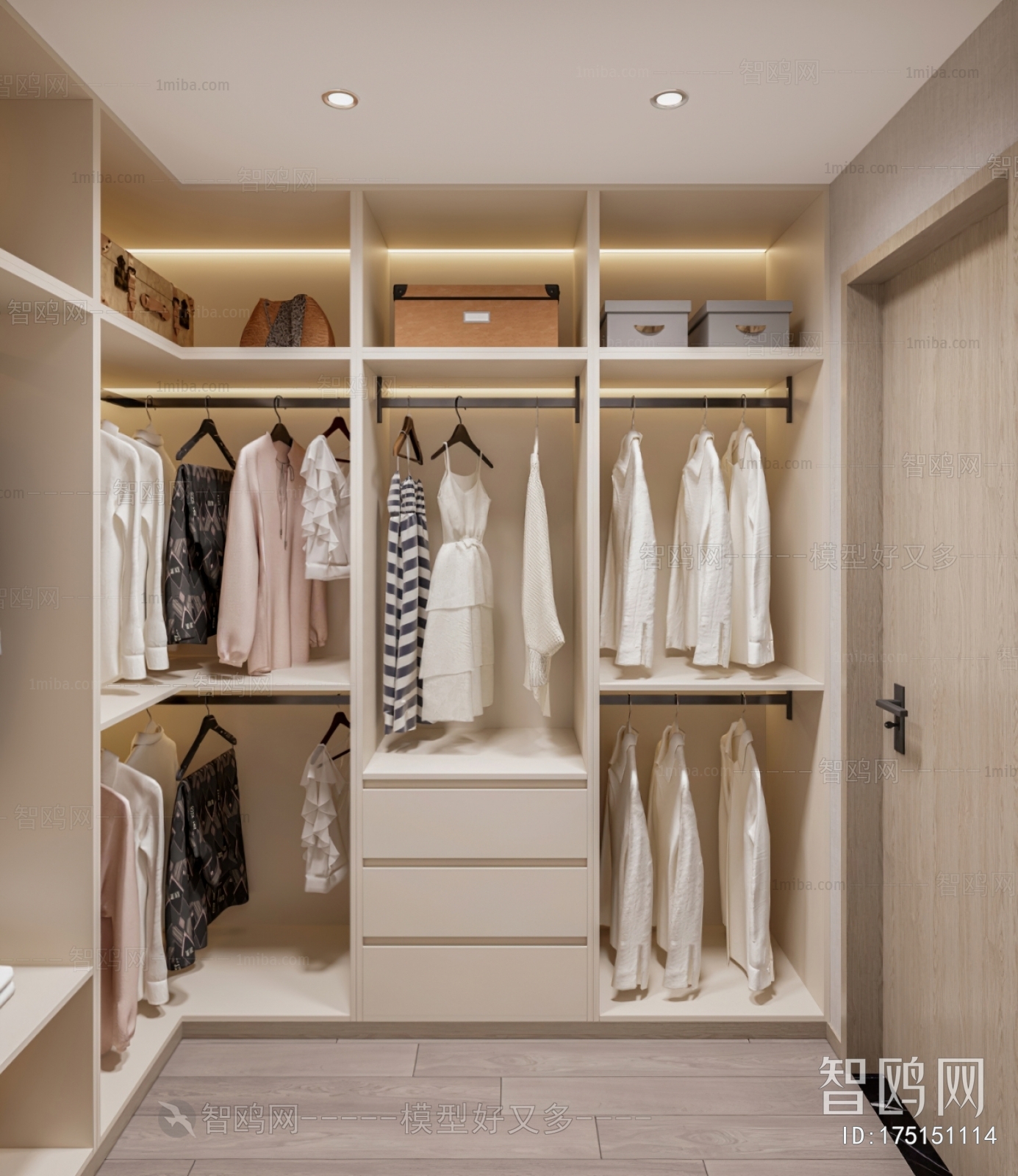 Modern Clothes Storage Area