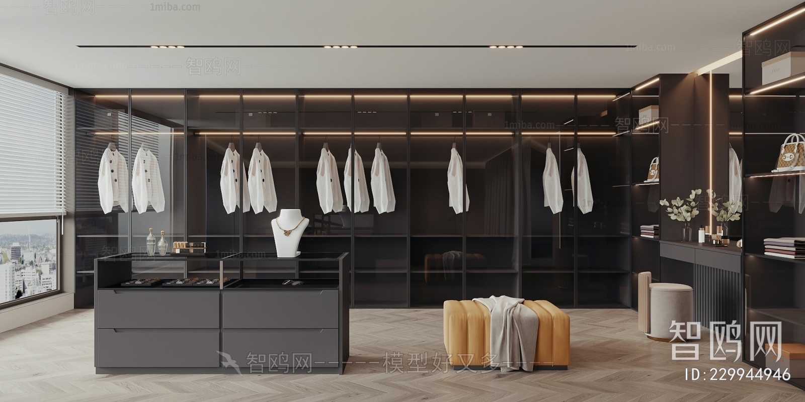 Modern Clothes Storage Area