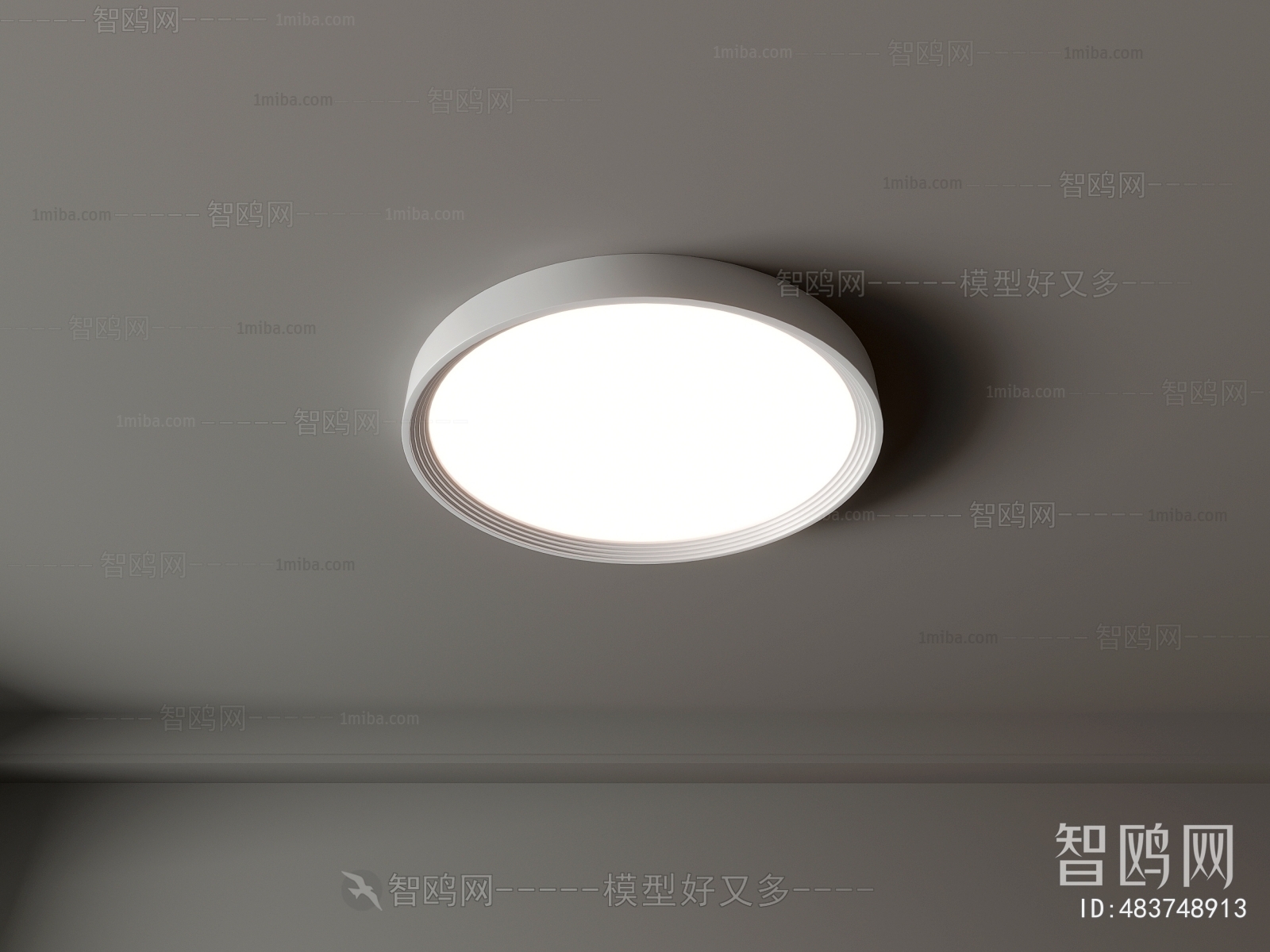 Modern Ceiling Ceiling Lamp