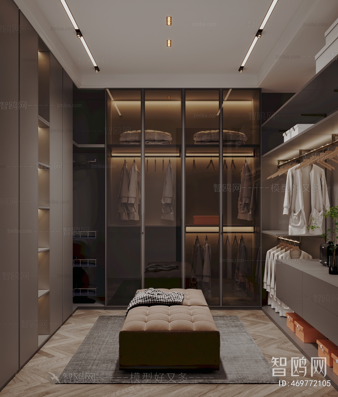 Modern Clothes Storage Area