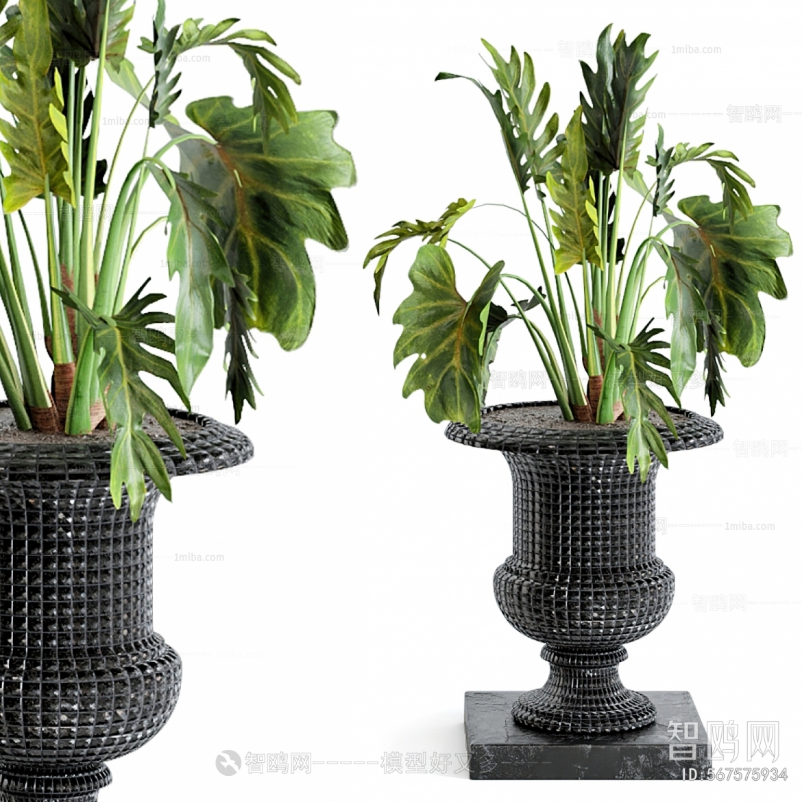 Modern Potted Green Plant