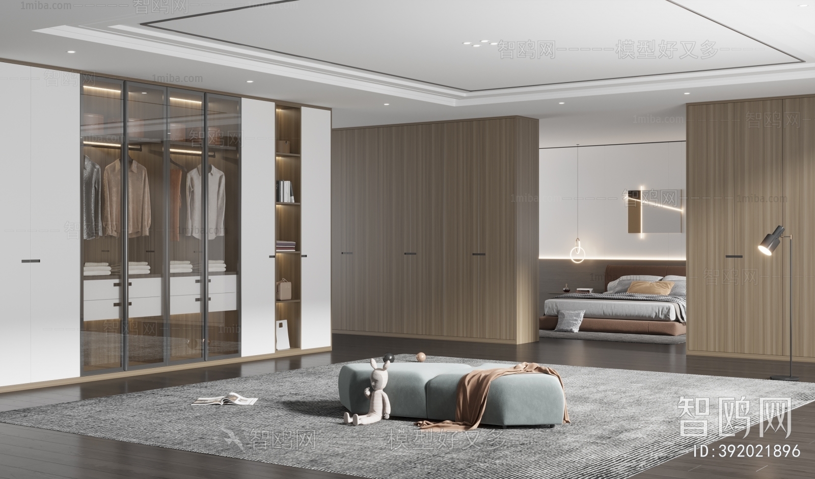 Modern Clothes Storage Area