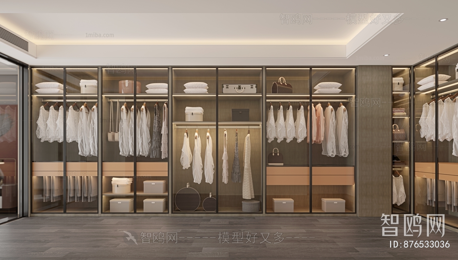 Modern Clothes Storage Area