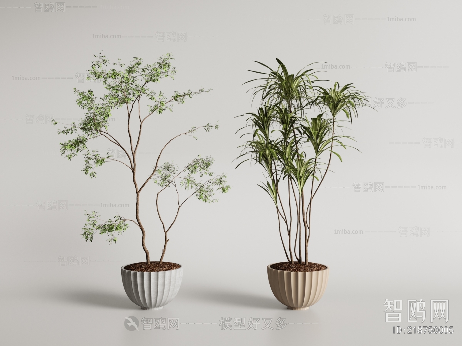 Modern Potted Green Plant