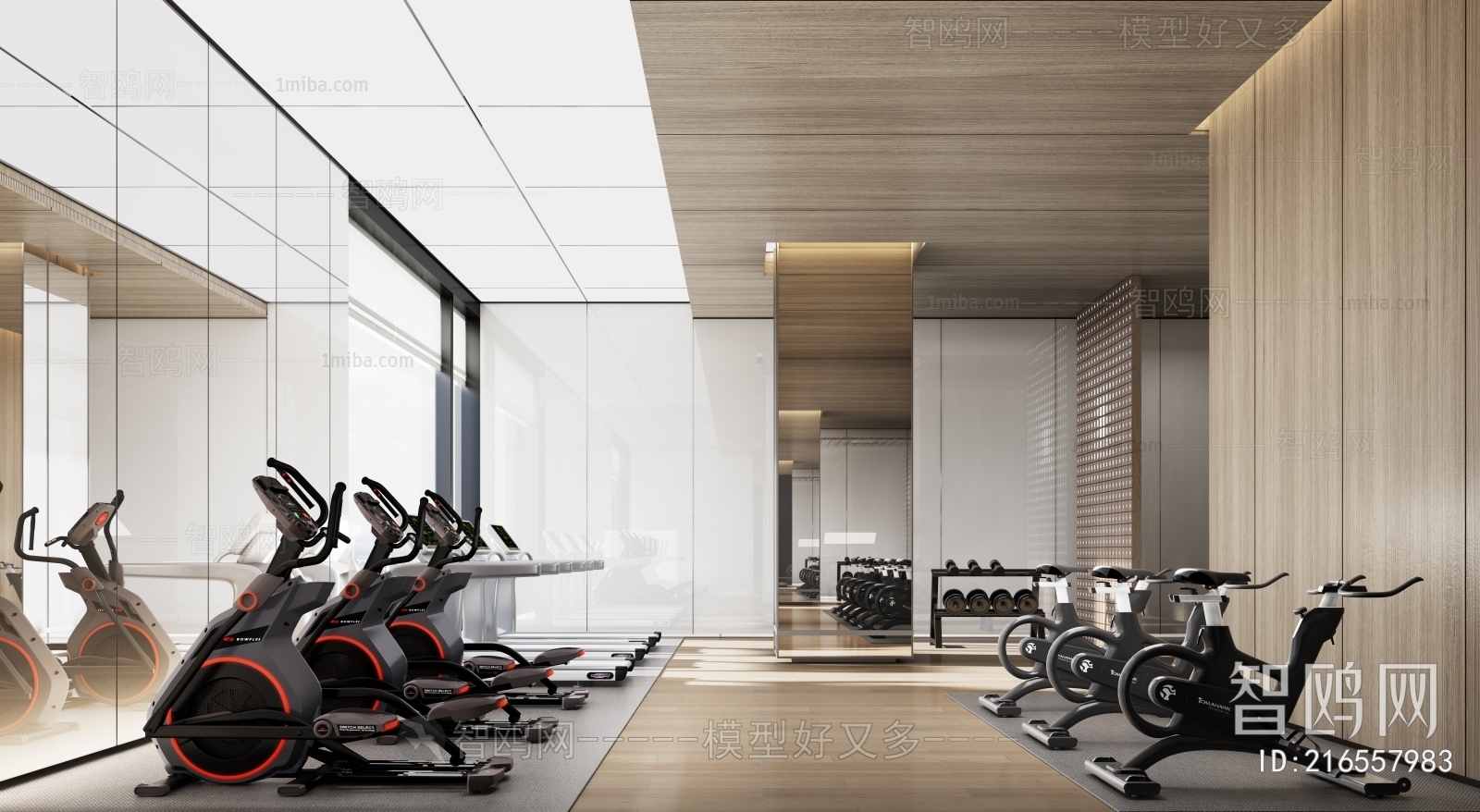 Modern Gym