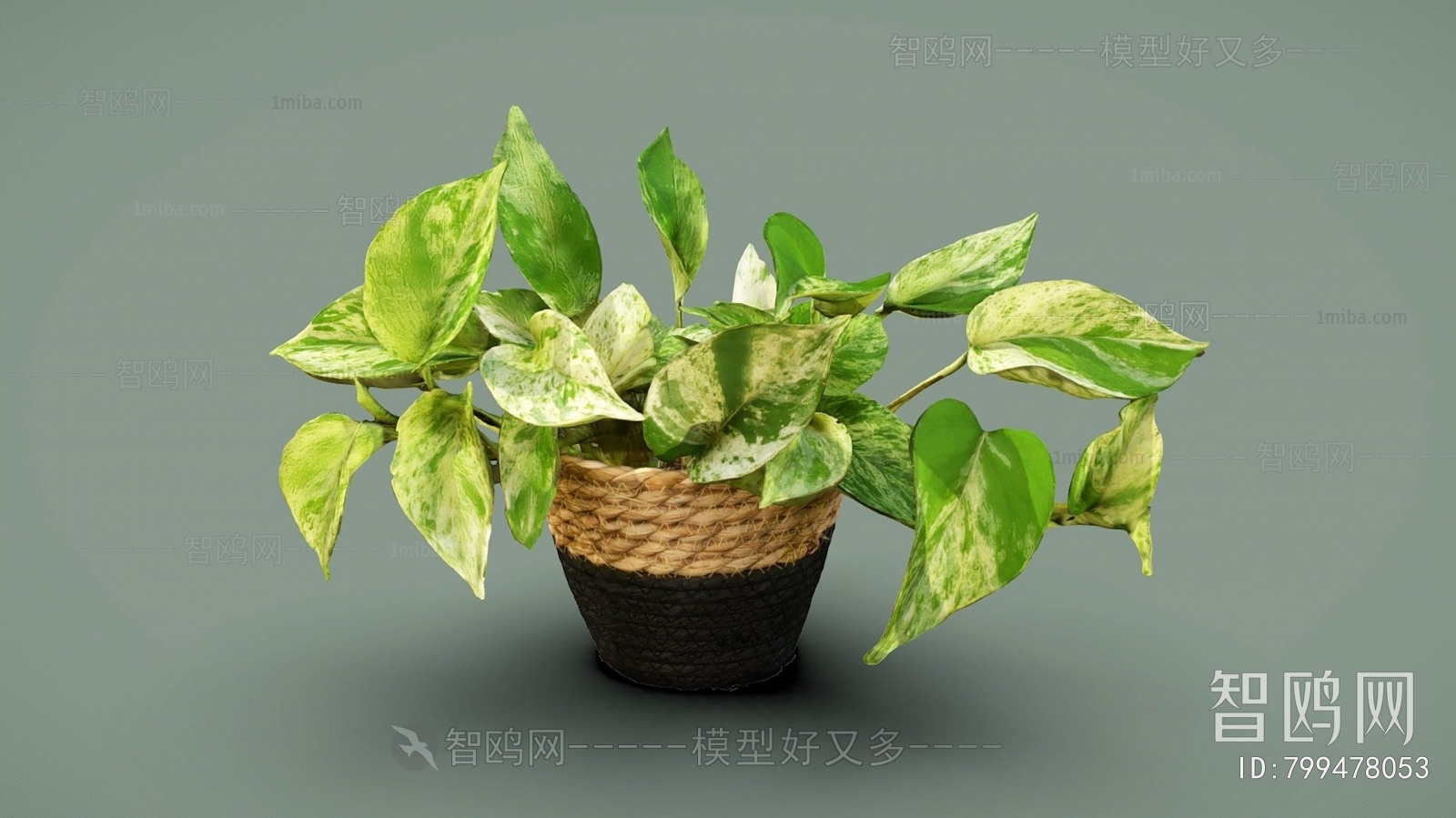 Modern Potted Green Plant