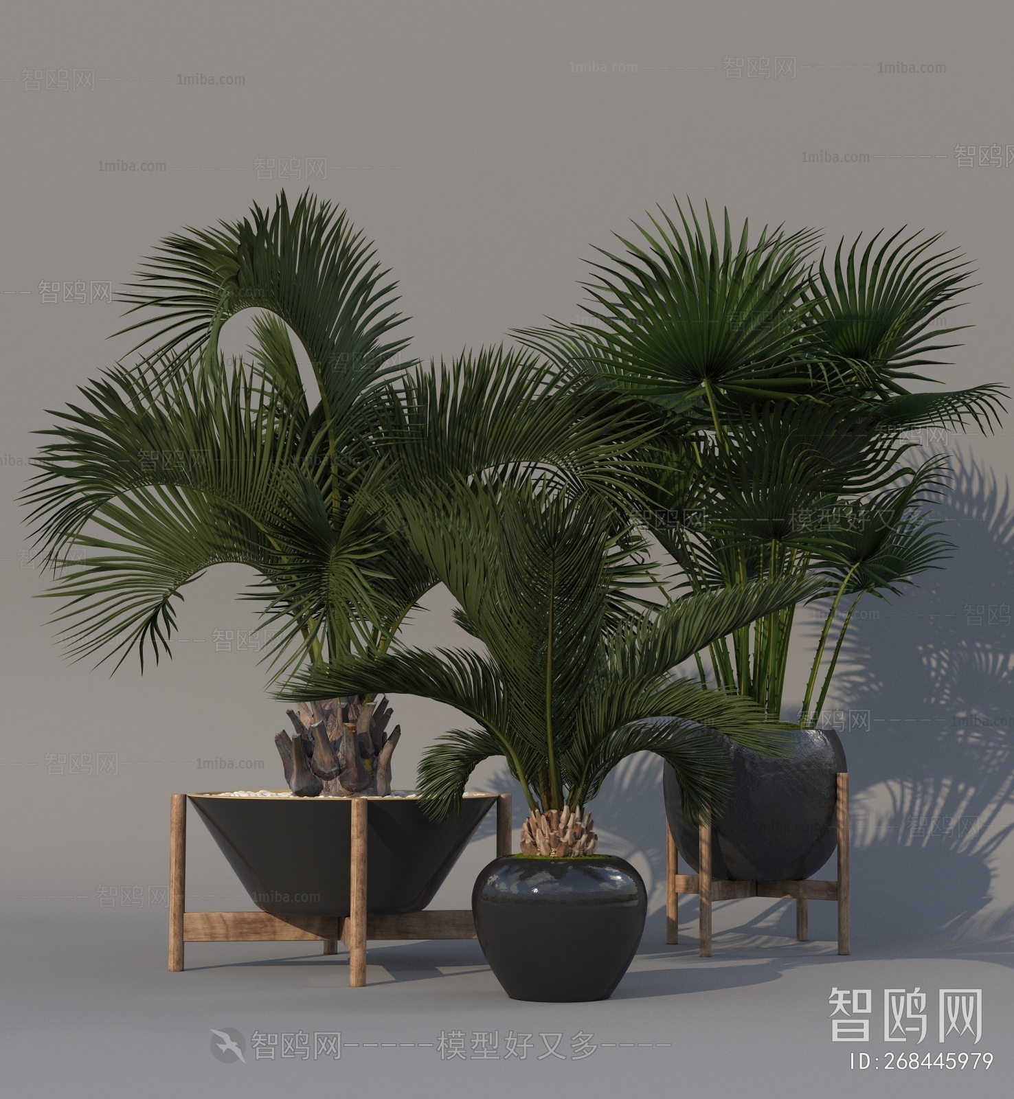 Modern Potted Green Plant