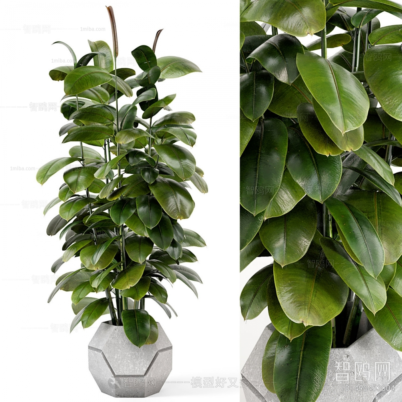 Modern Potted Green Plant