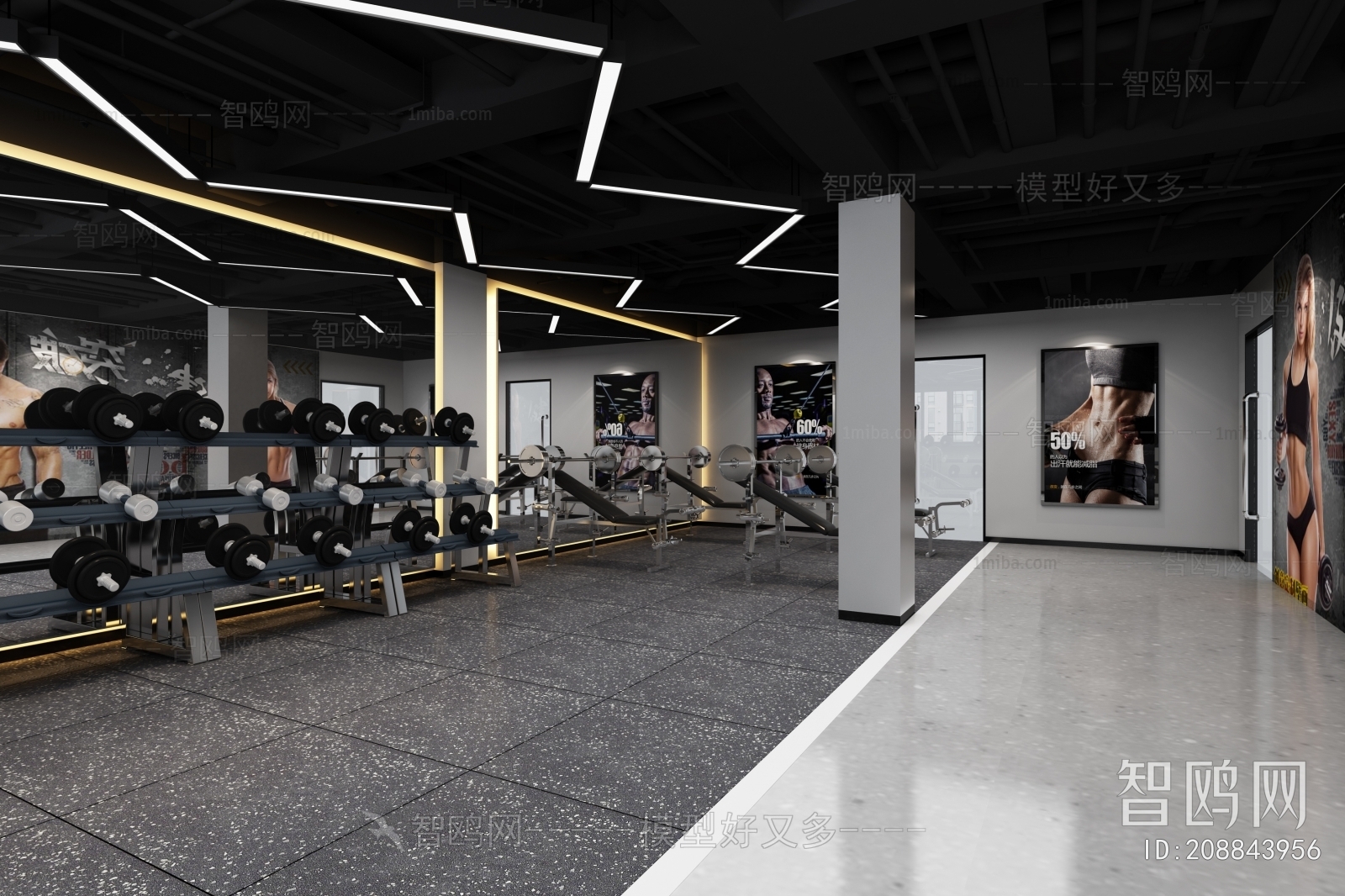 Modern Gym