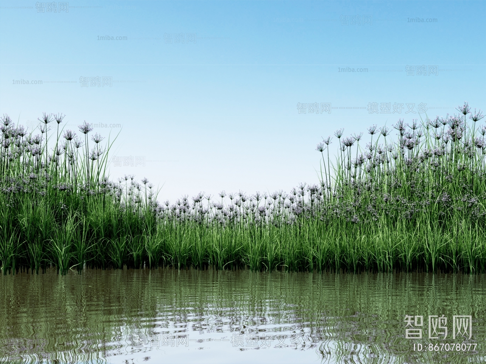 Modern Flowers And Grass