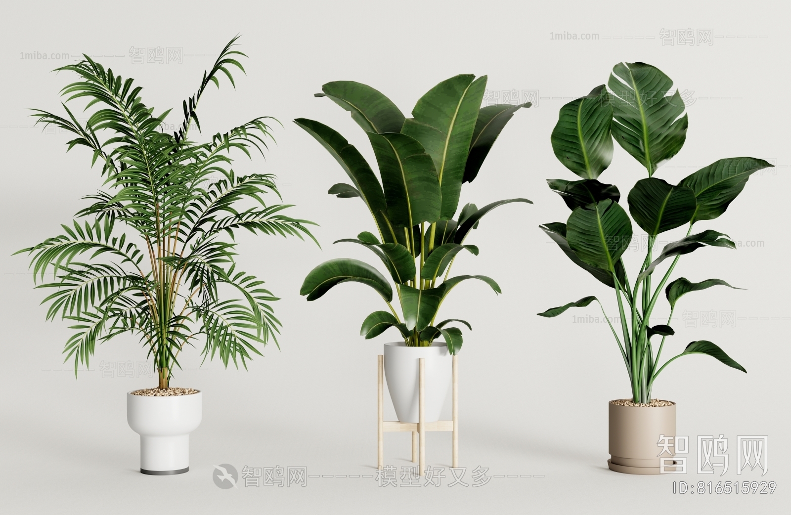 Modern Potted Green Plant