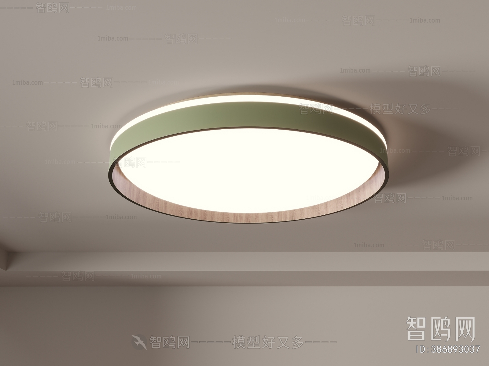 Modern Ceiling Ceiling Lamp