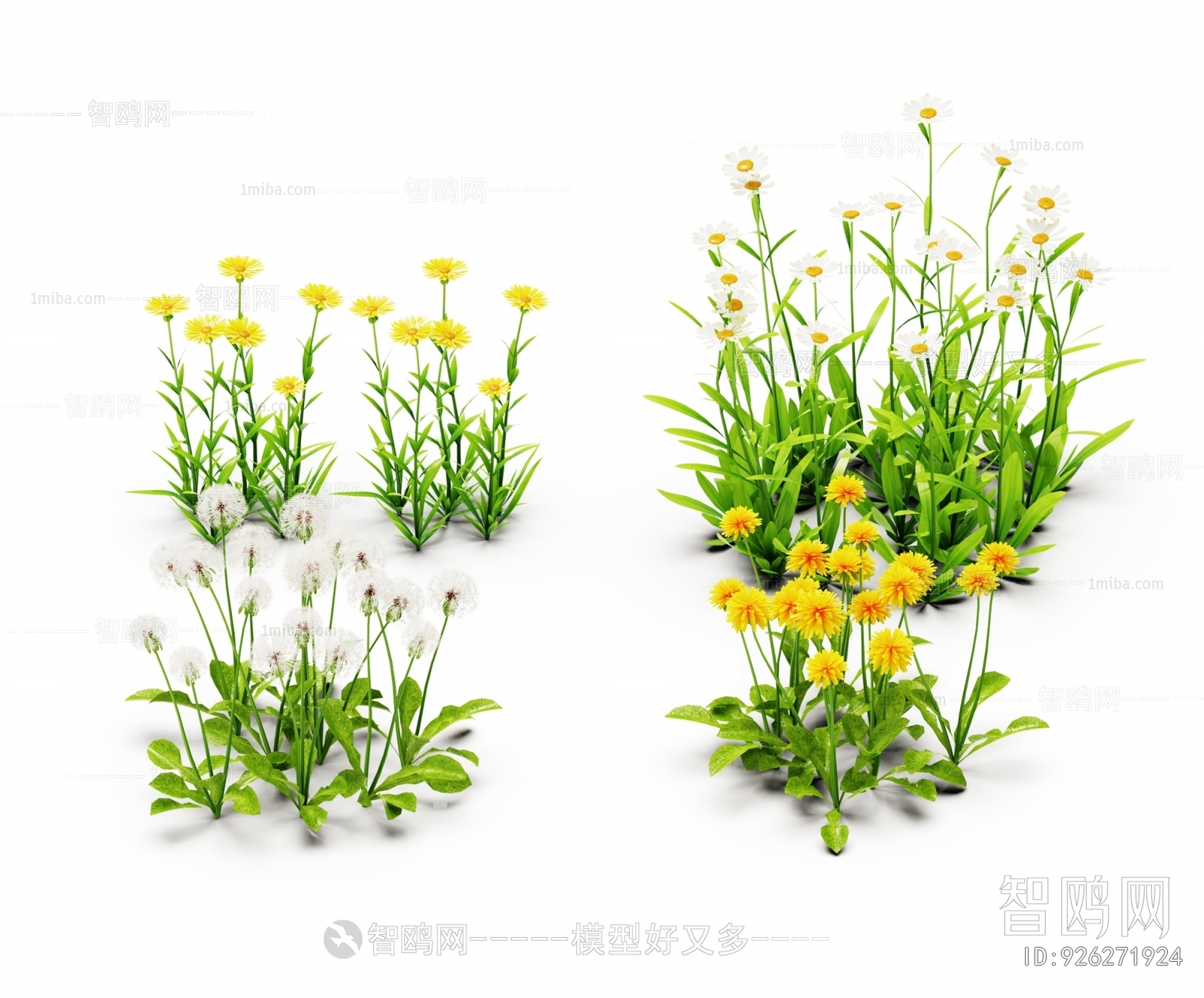 Modern Flowers And Grass