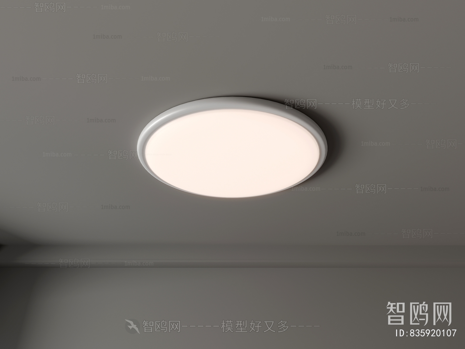 Modern Ceiling Ceiling Lamp