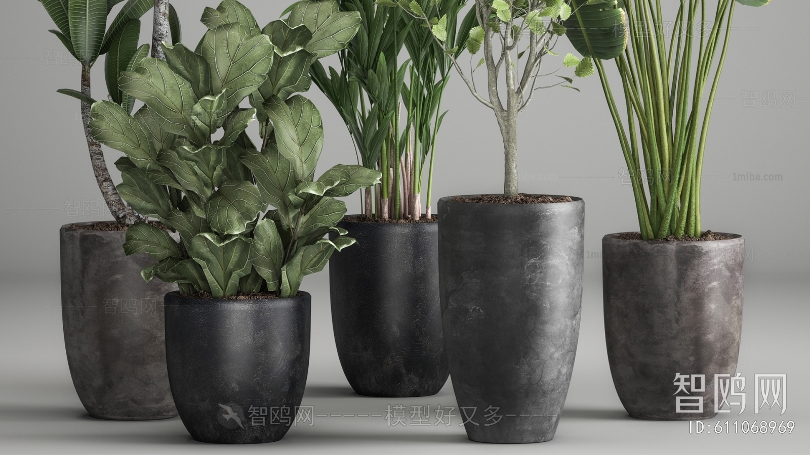 Modern Potted Green Plant