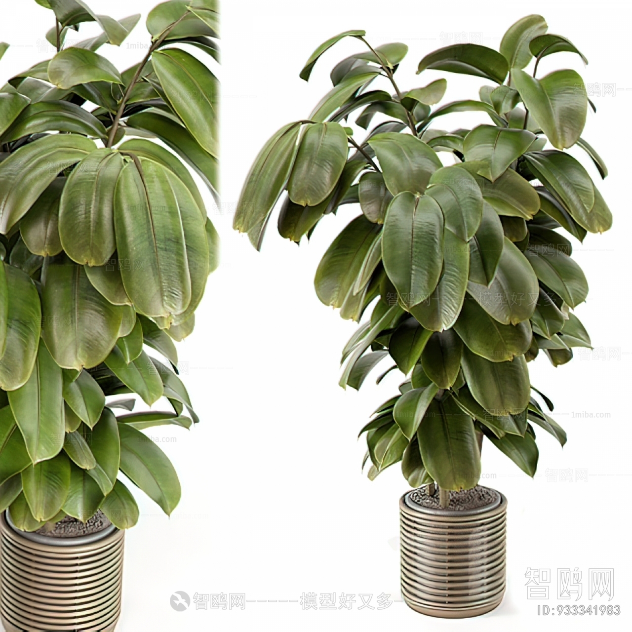 Modern Potted Green Plant