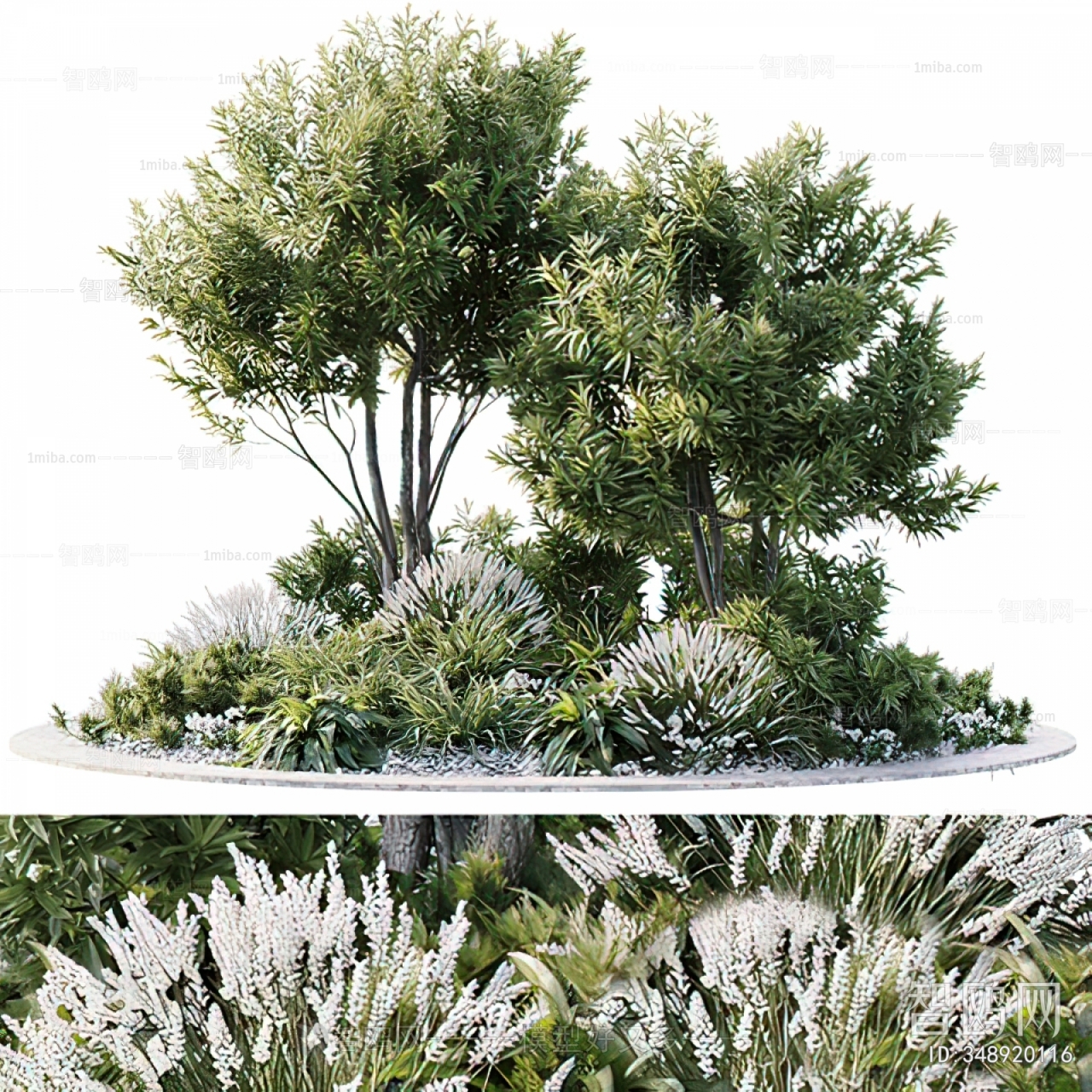 Modern Shrubbery