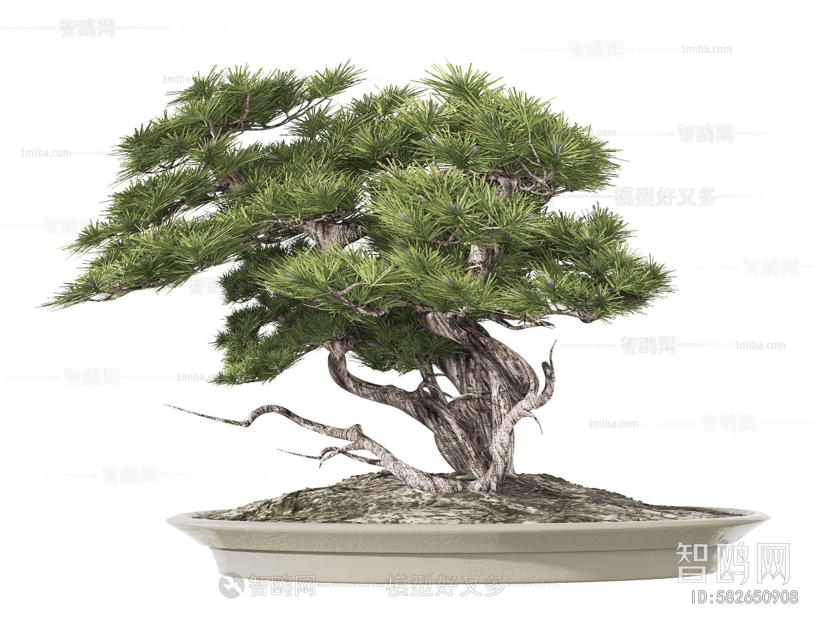 New Chinese Style Bonsai