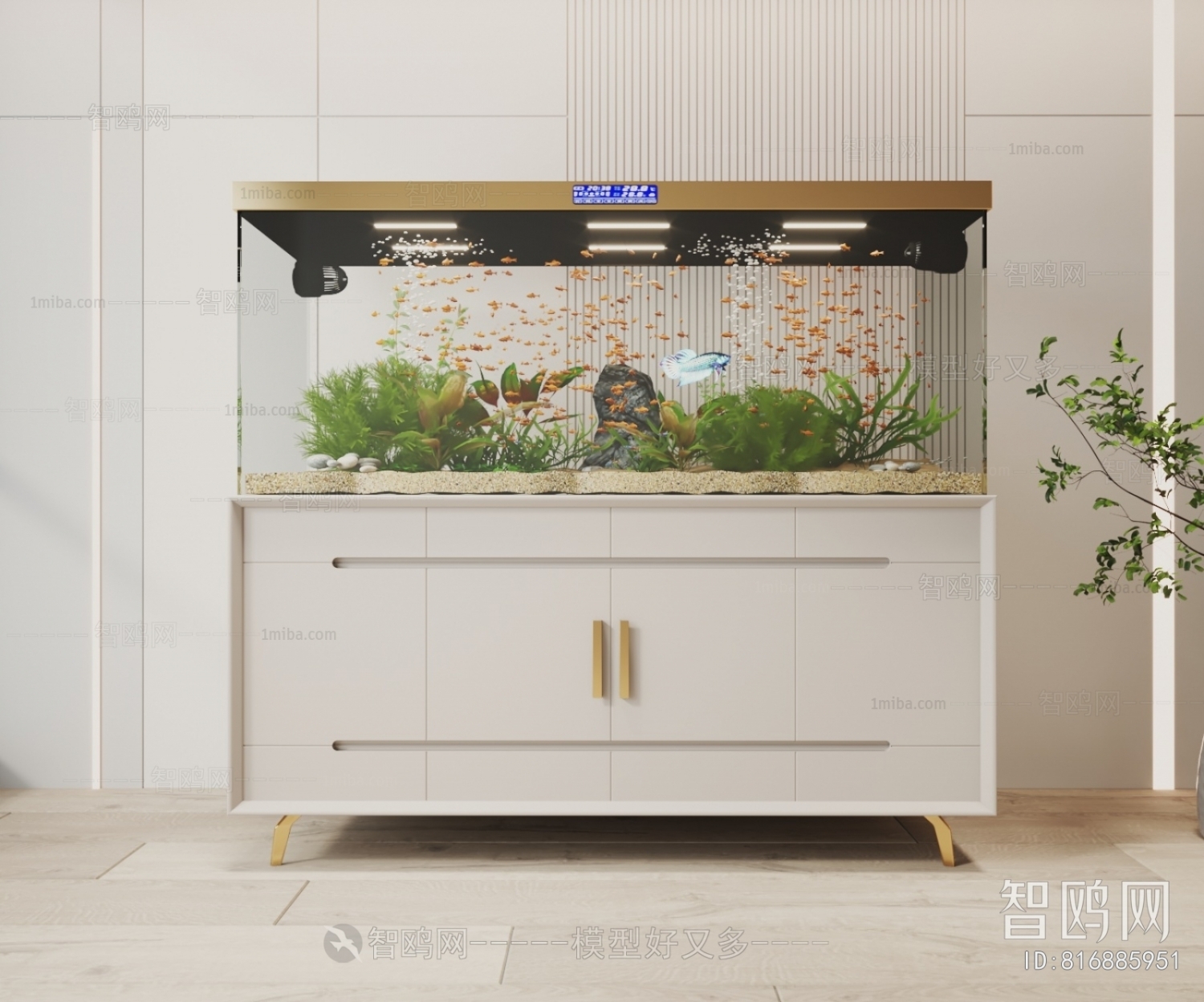 Modern Fish Tank