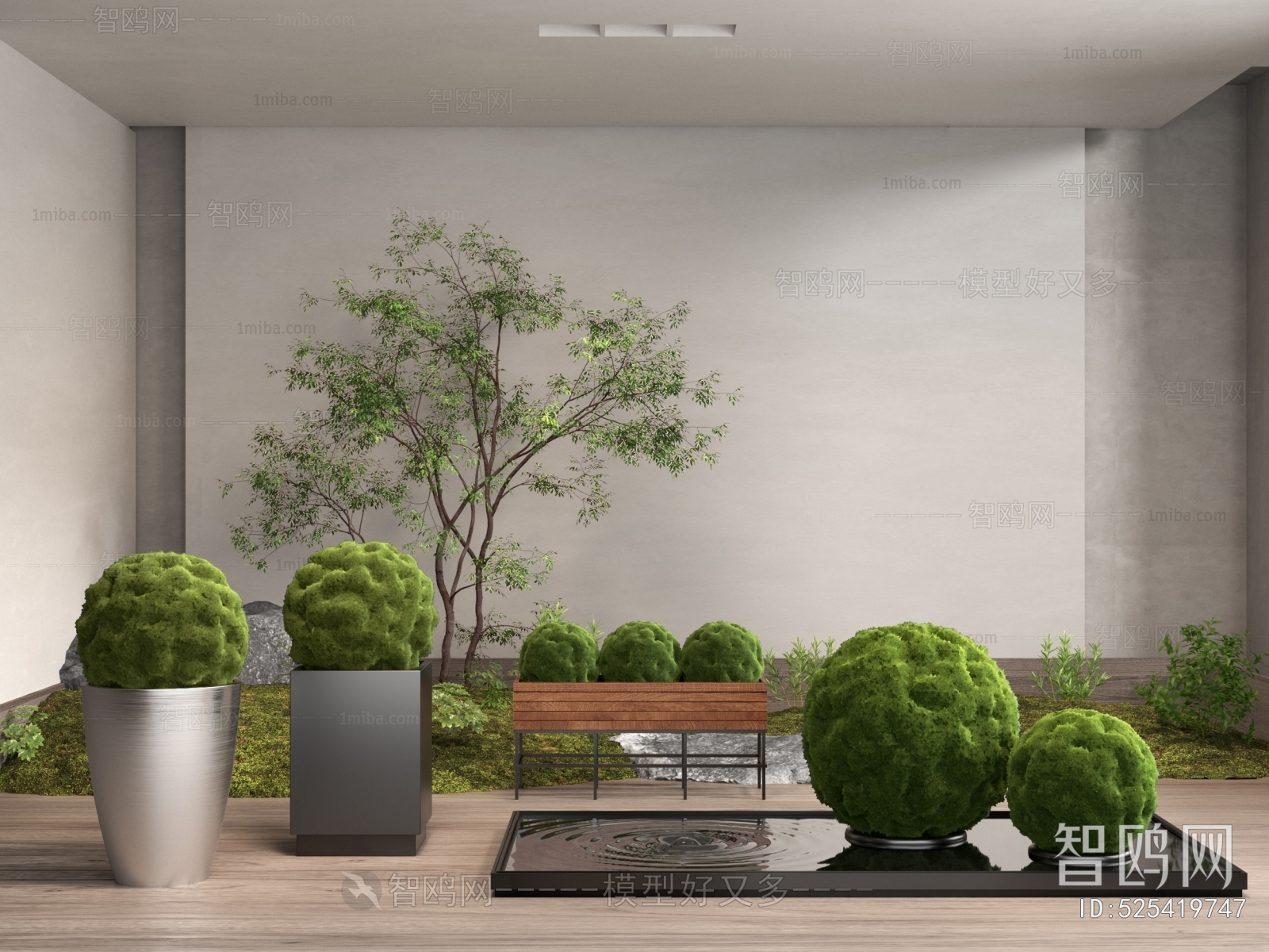 Modern Potted Green Plant