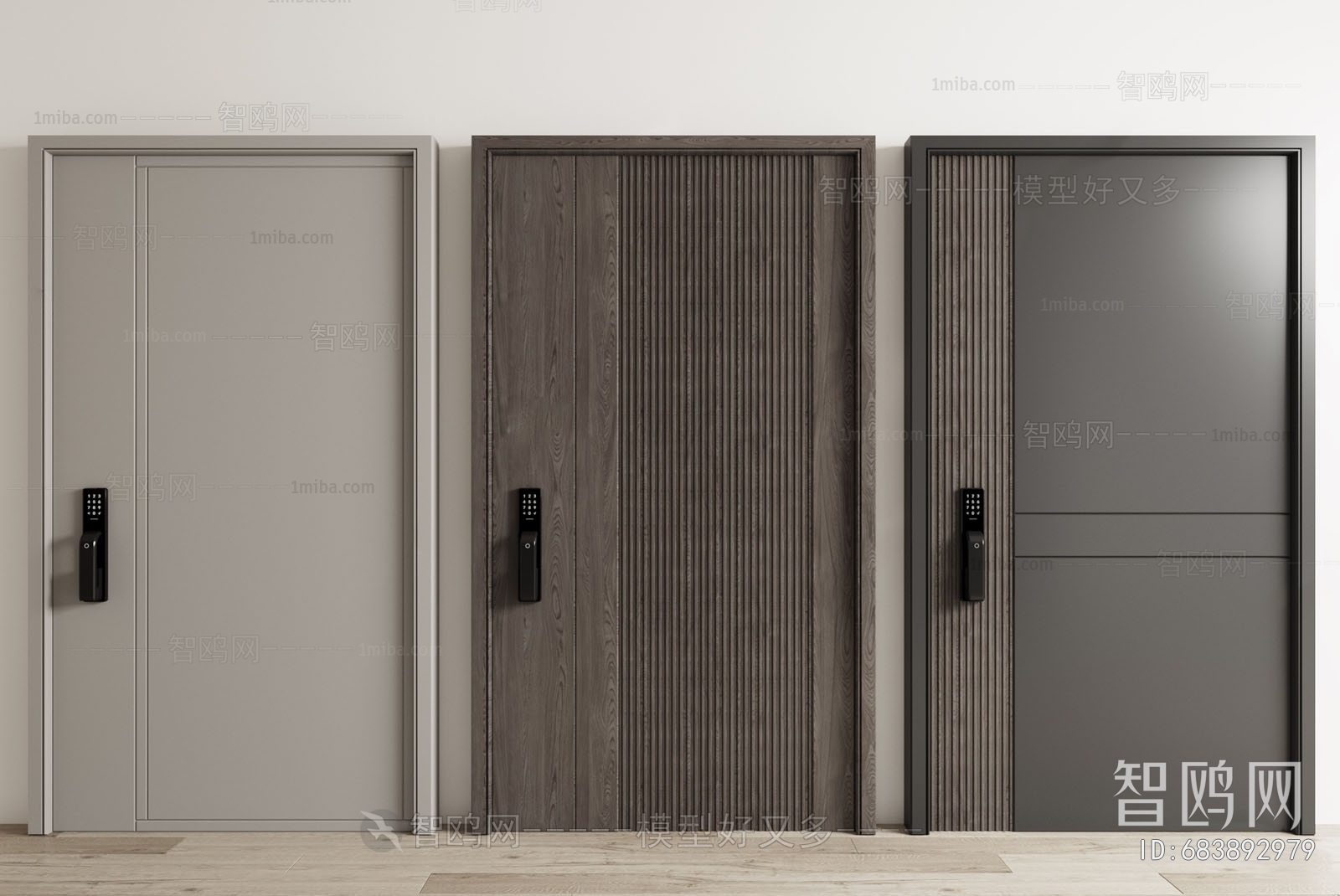 Modern Entrance Door