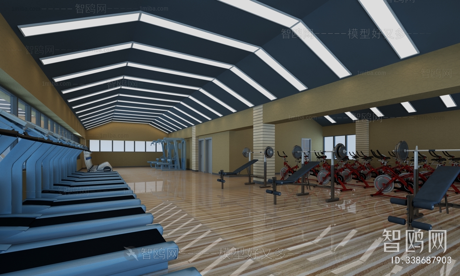 Modern Gym