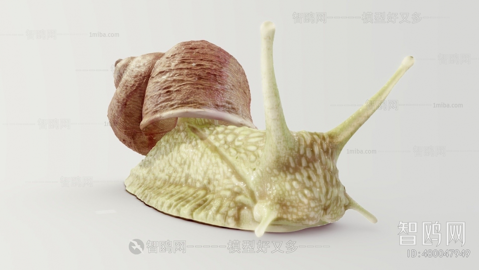 现代蜗牛
