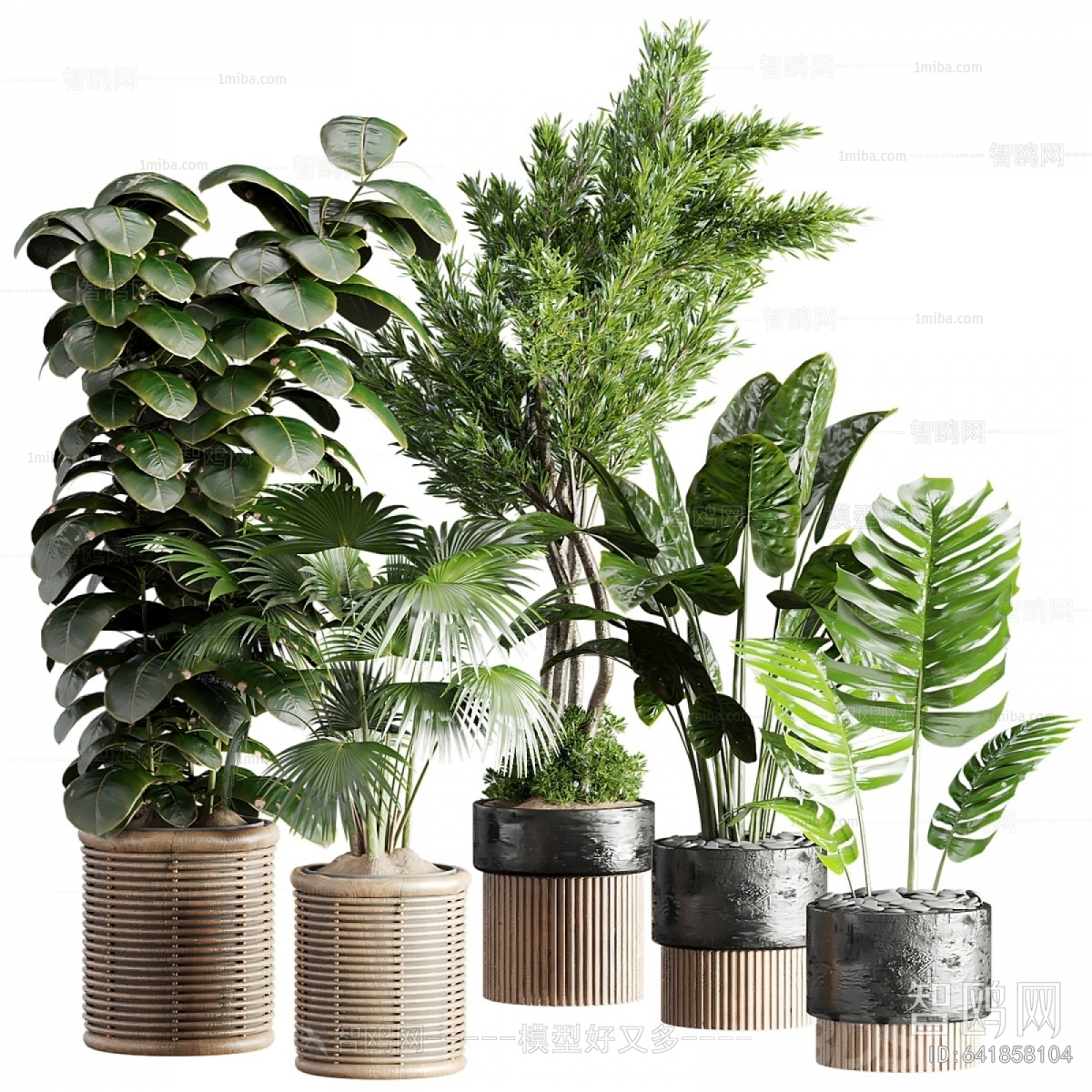 Modern Potted Green Plant