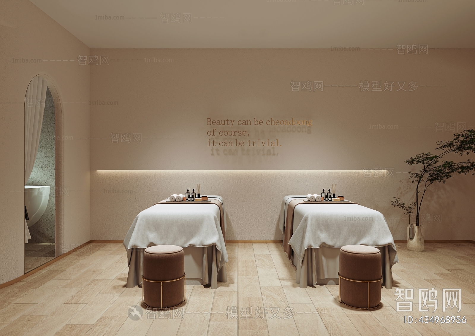 Modern SPA Beauty