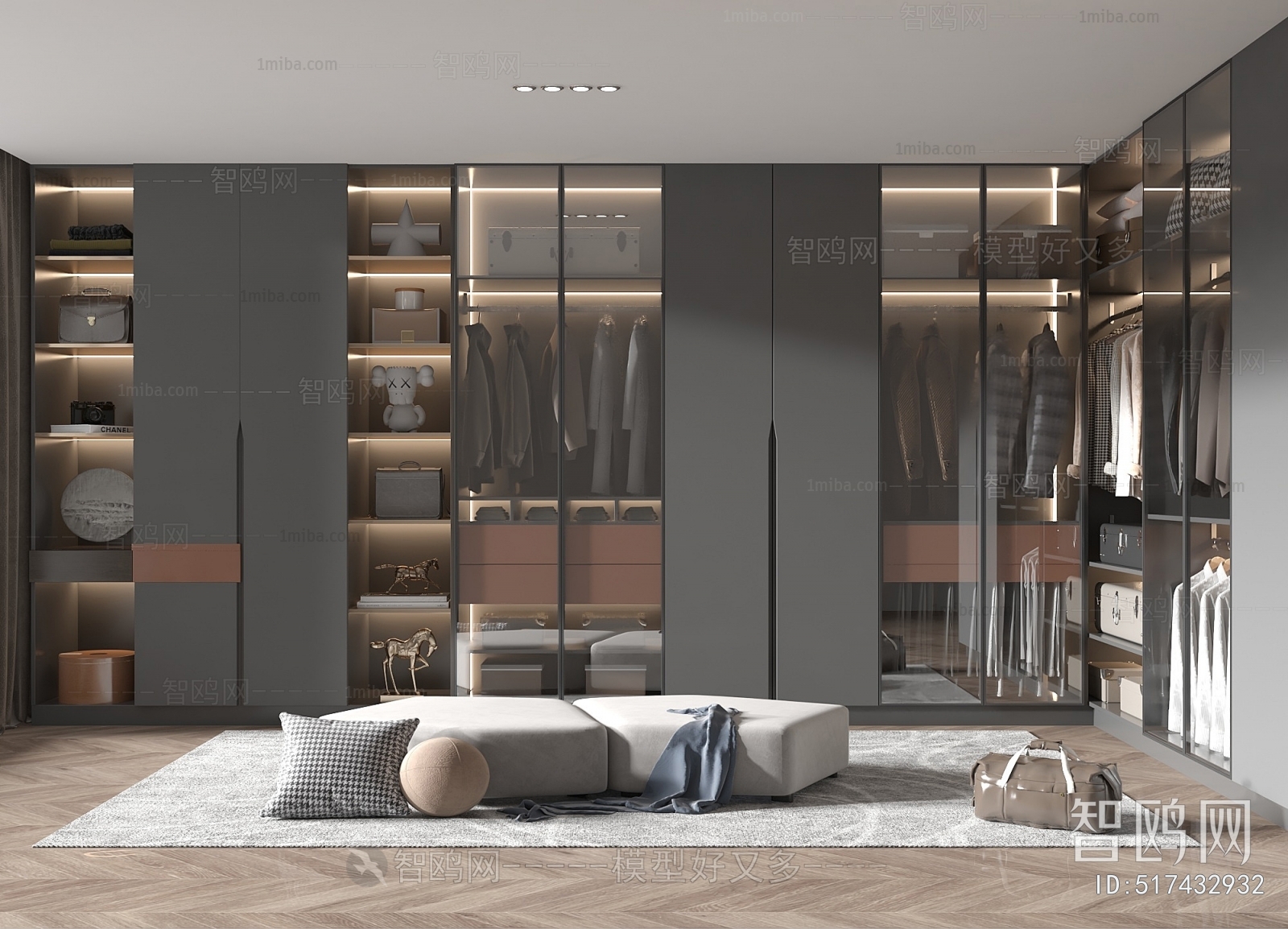 Modern Clothes Storage Area