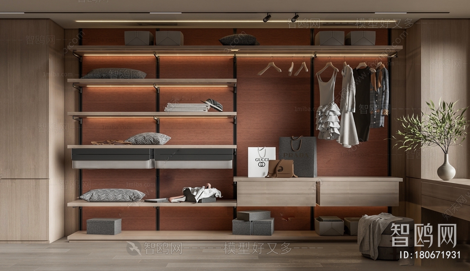 Modern Clothes Storage Area