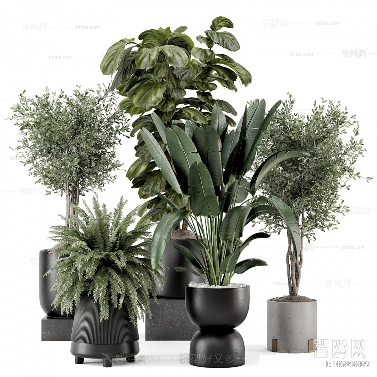 Modern Potted Green Plant