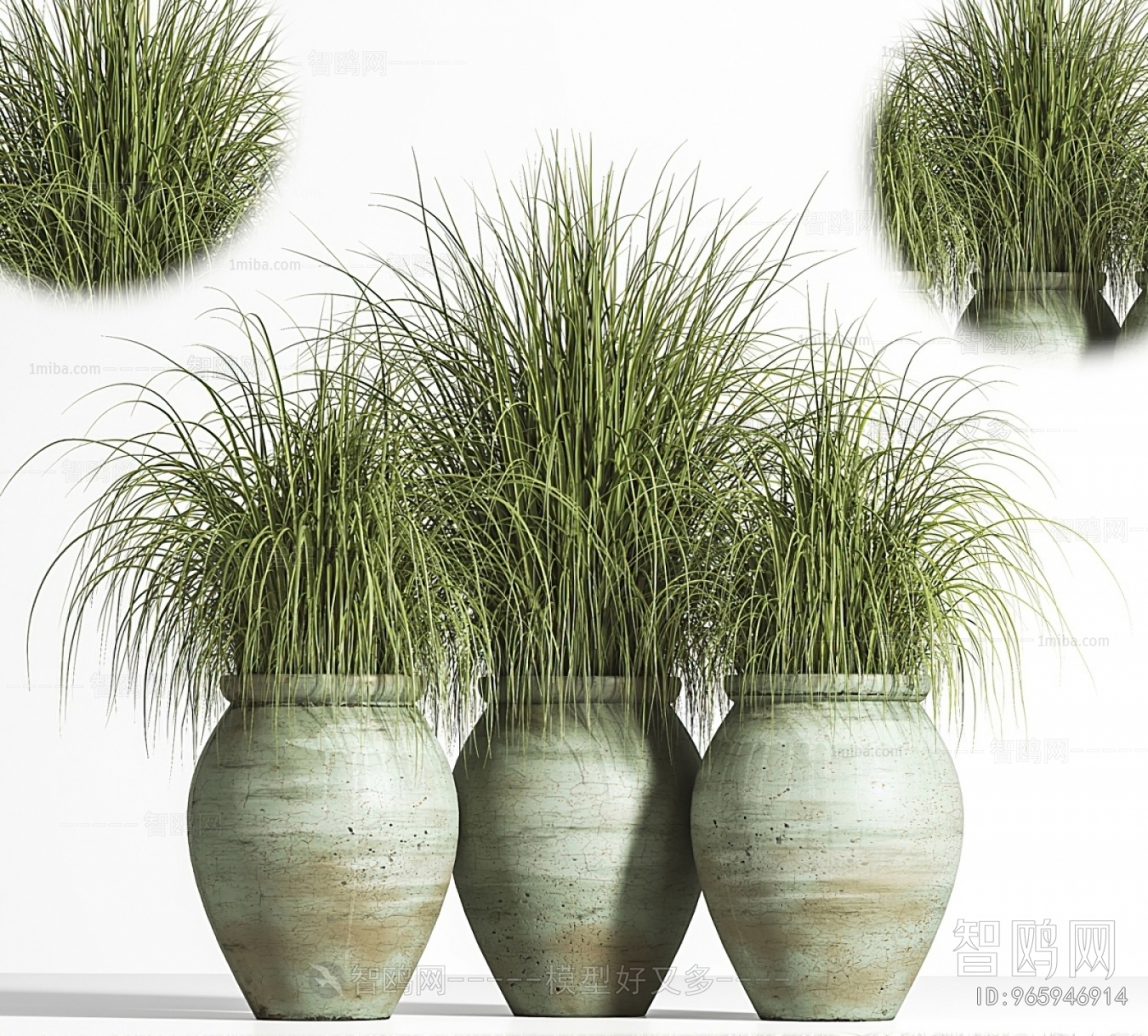 Wabi-sabi Style Potted Green Plant