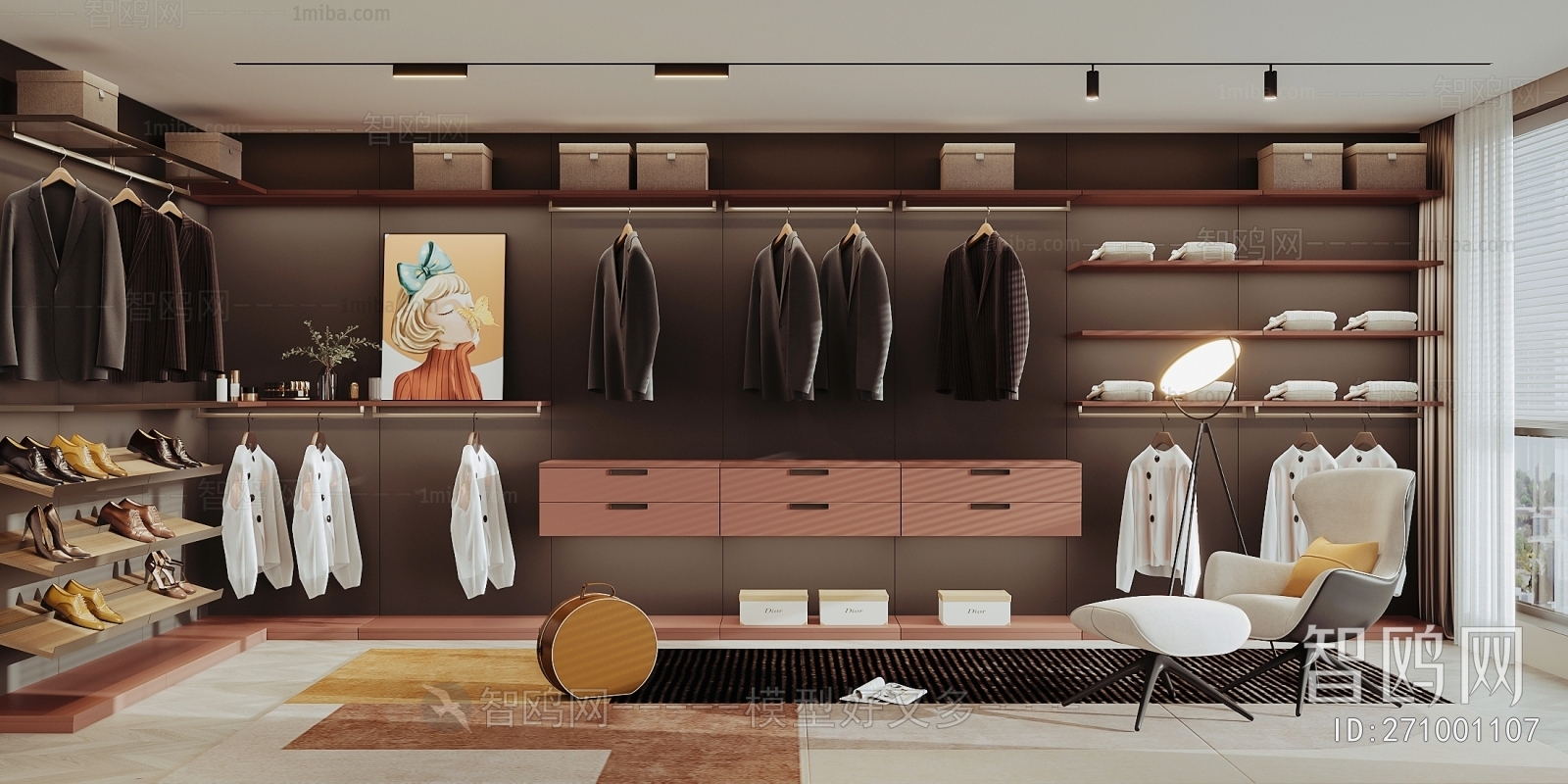 Modern Clothes Storage Area