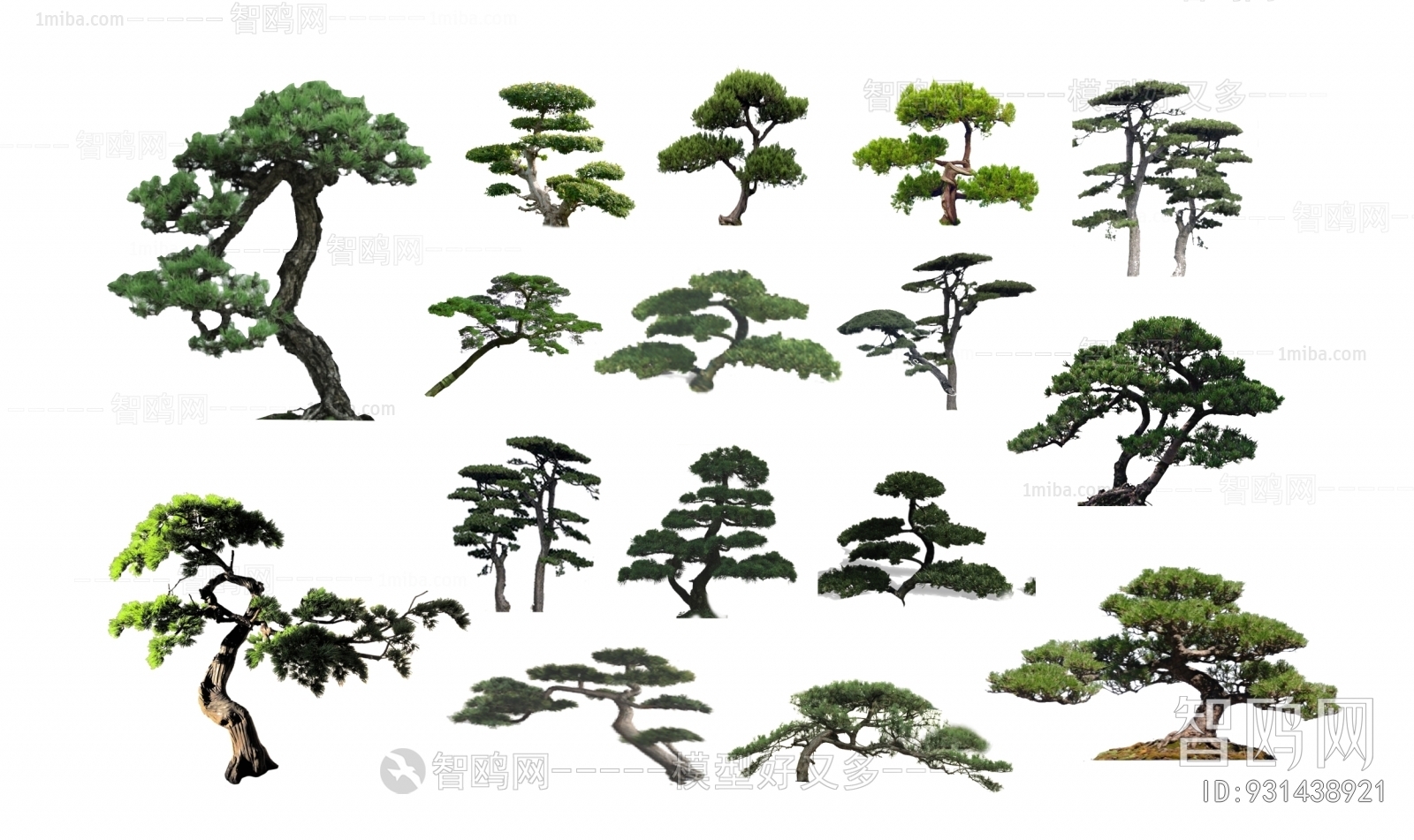 中式造型松树