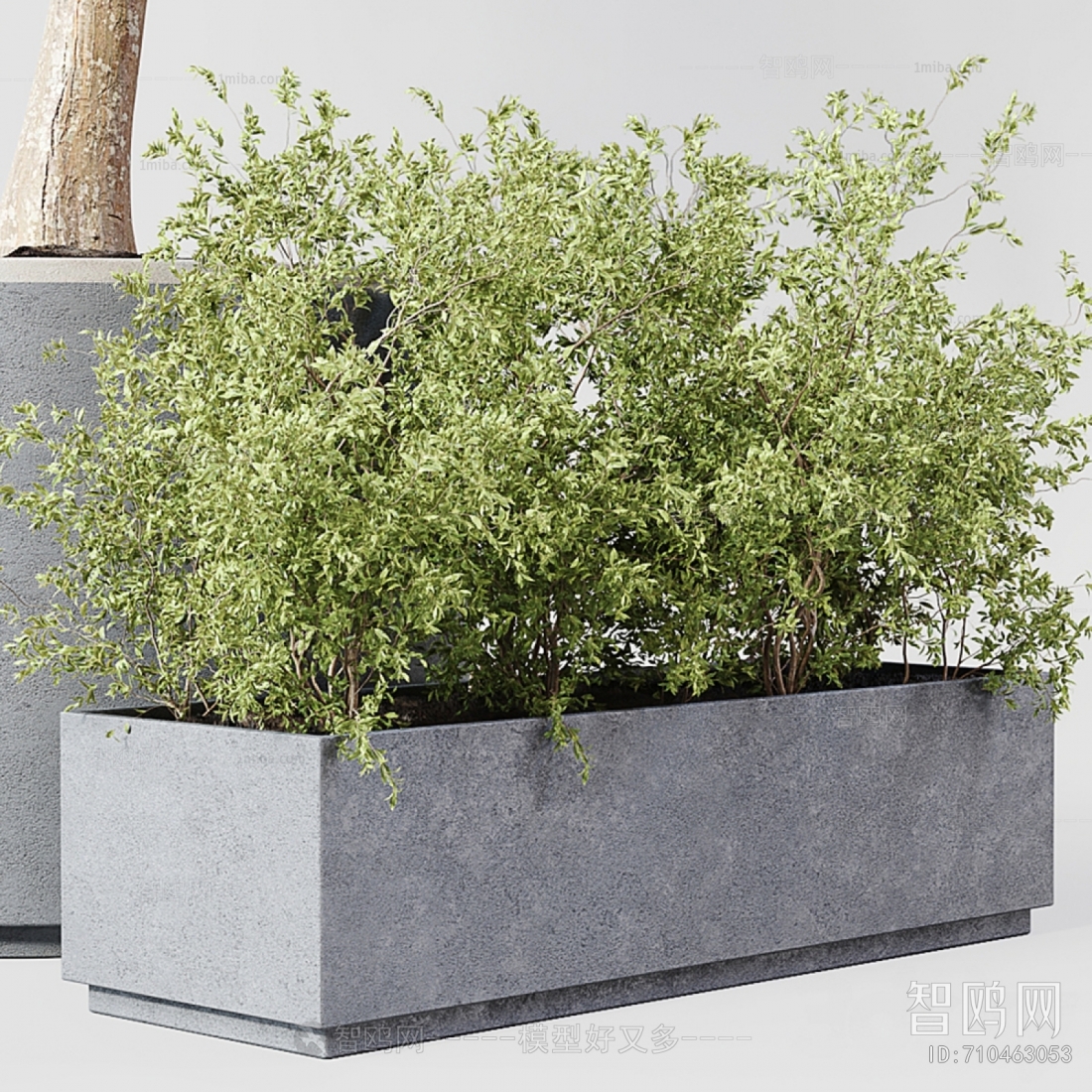 Modern Potted Green Plant