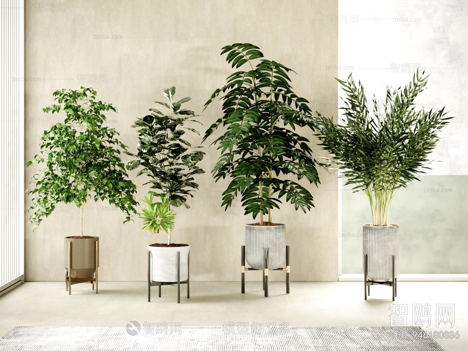 Modern Potted Green Plant