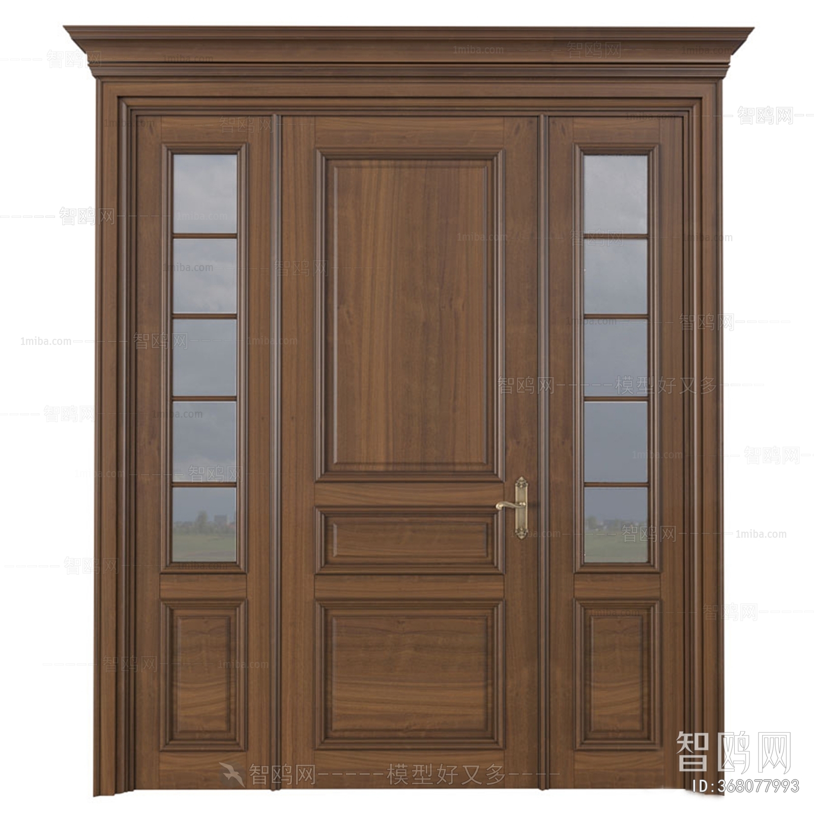 Modern Door